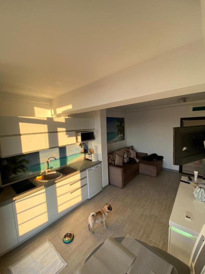 Apartament Edu Beach Resort Năvodari Kültér fotó